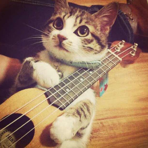 国产做爱高潮69
