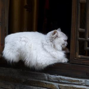 国产做爱高潮69
